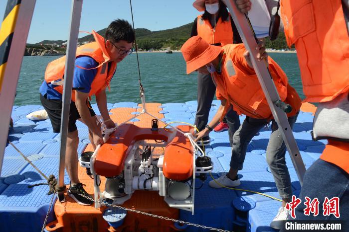 图为比赛现场。　邹沧海 摄